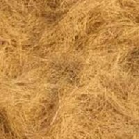 Coir Fiber