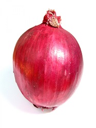 Onion
